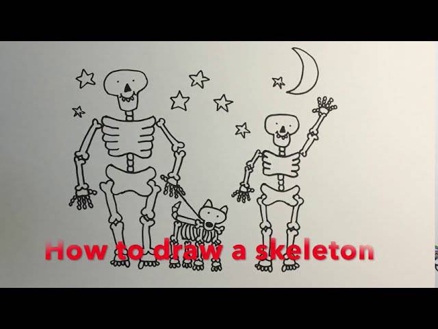 A Drawing Of A Skeleton