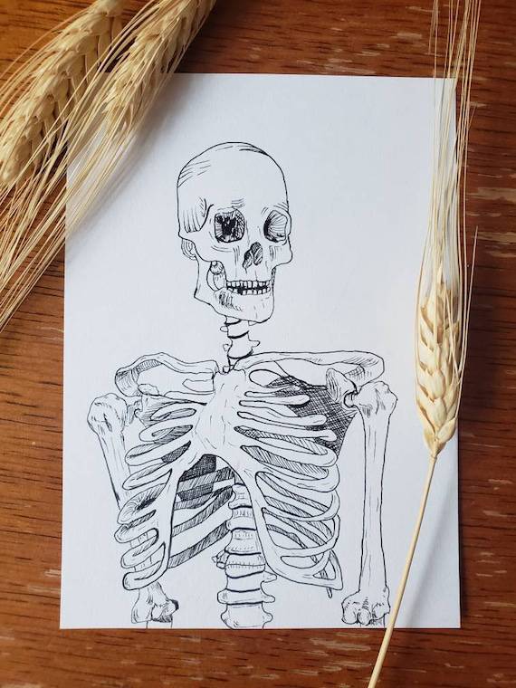 Cartoon Skeleton Drawing Easy