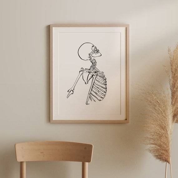 Cat Skeleton Drawing