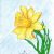 100+ Easy Daffodil Drawing Ideas