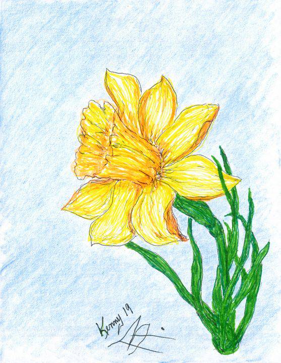 100+ Easy Daffodil Drawing Ideas