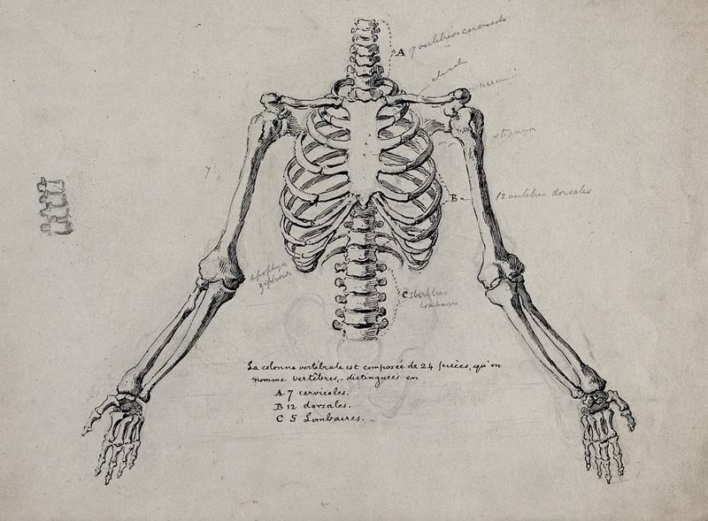 Draw A Skeleton Face