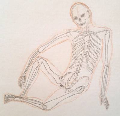 Drawing Animals From Skeletons