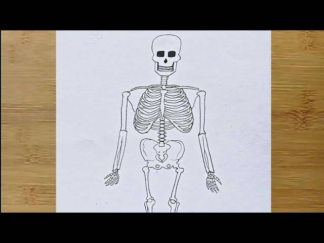 Drawing Picture Of Skeleton