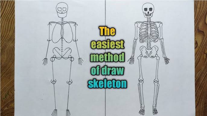 Easy Skeleton Drawing Face