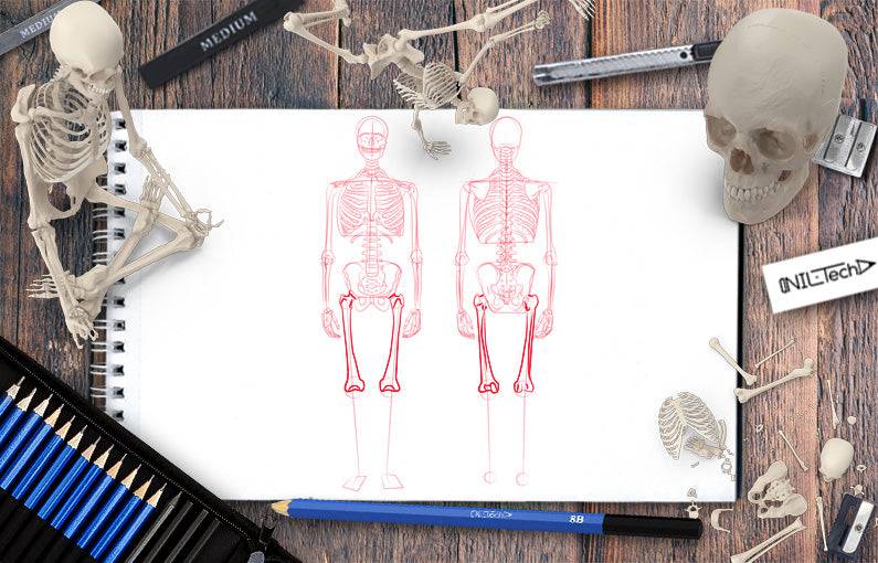 Foot Skeleton Drawing