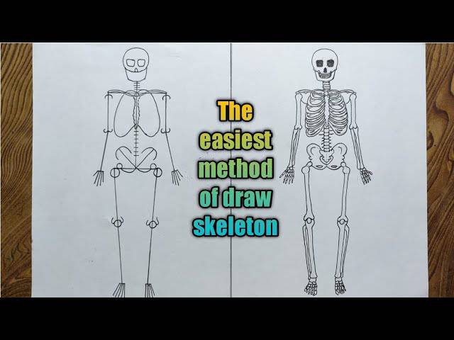 Skeleton Face Drawing Easy